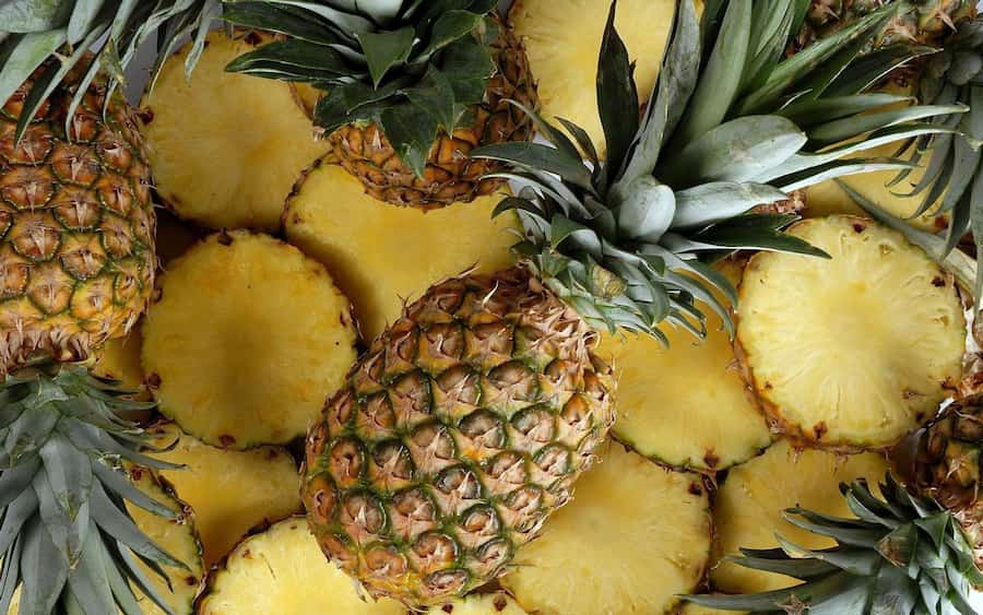 Pineapple Name Origin