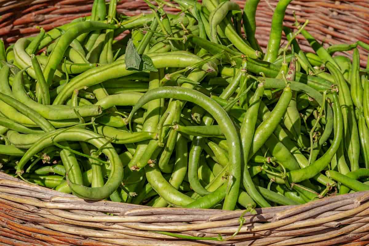 asian style green beans