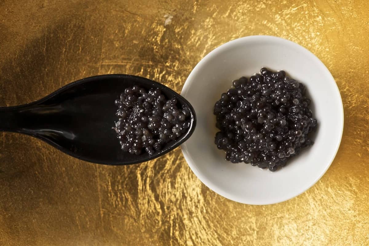 caviar vs tricorn black