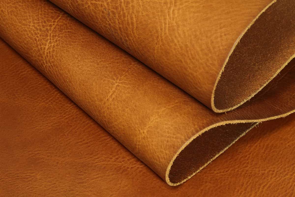 sheep leather vs cow leather