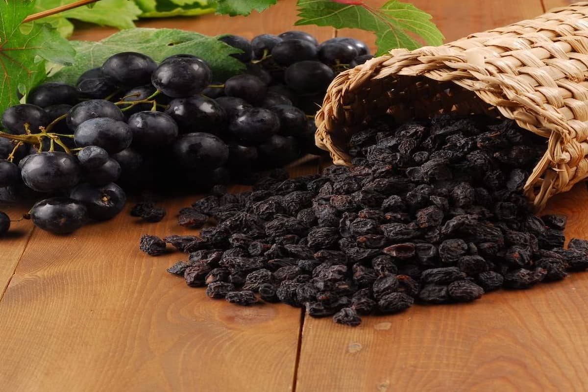 Black raisins have iron
