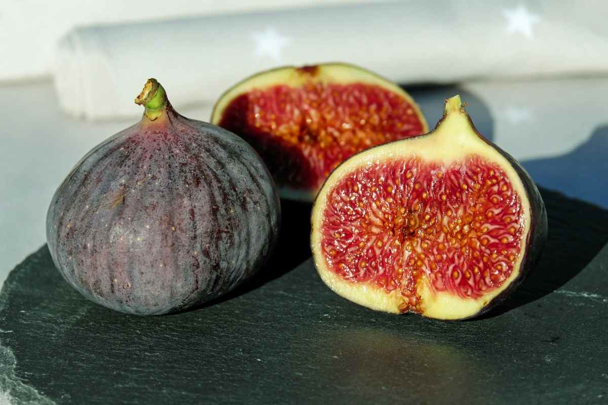 Ficus carica (fig) fruit extract