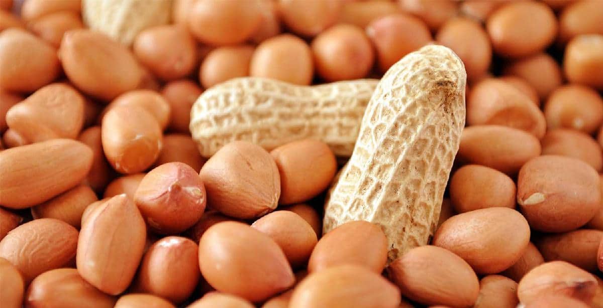 groundnut glycemic index