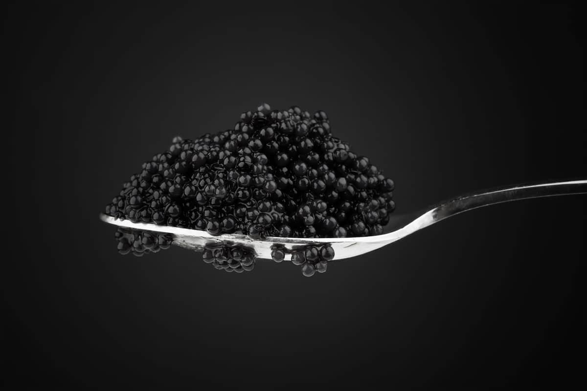 black caviar 03 imperial heritage