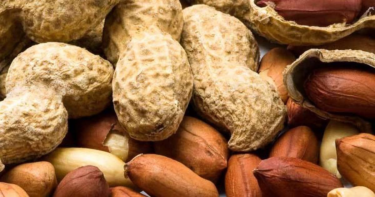 largest producer of groundnut in africa