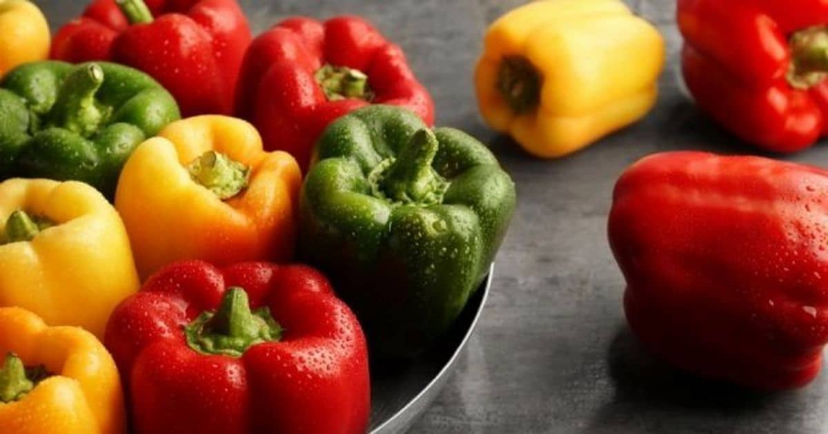 nutrition in 1 bell pepper