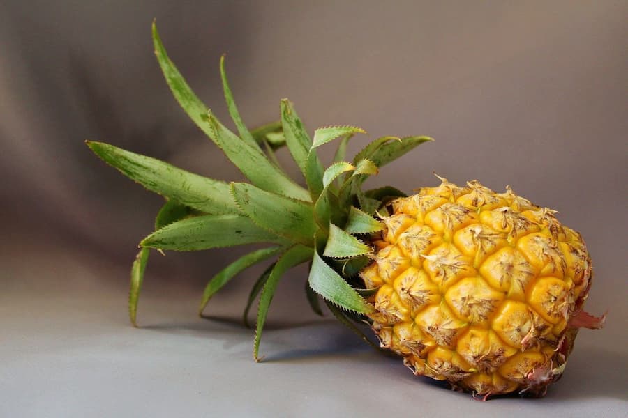 A pineapple weighs about