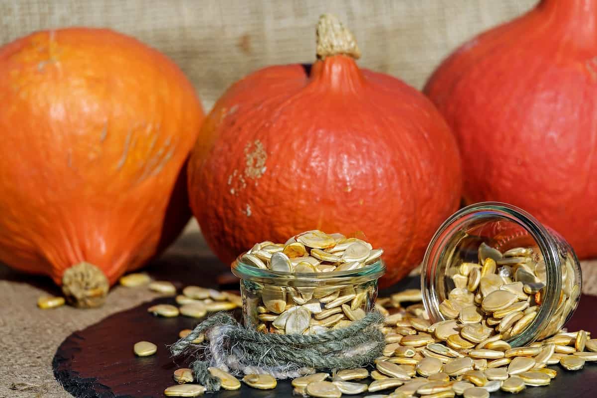 about pumpkin seeds