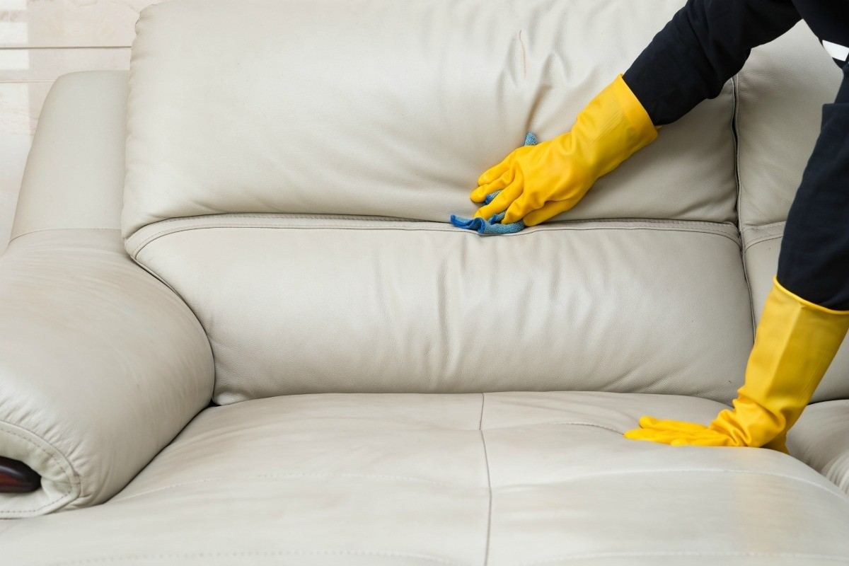 Best Upholstery Cleaner Spray
