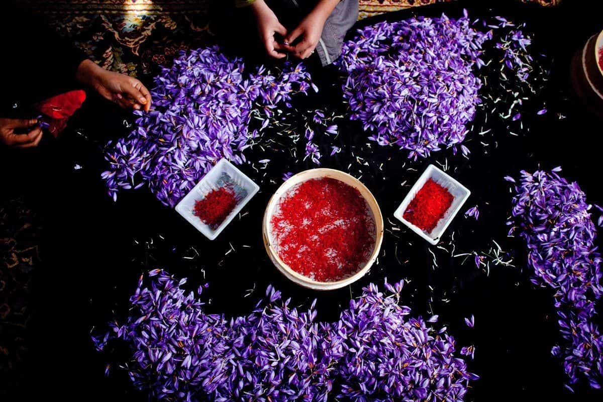 Persian saffron Products
