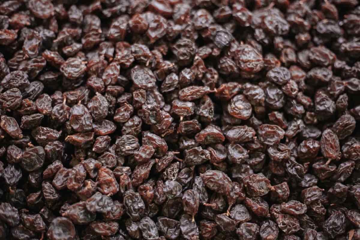Black raisins water benefits for conceiving in Hindi