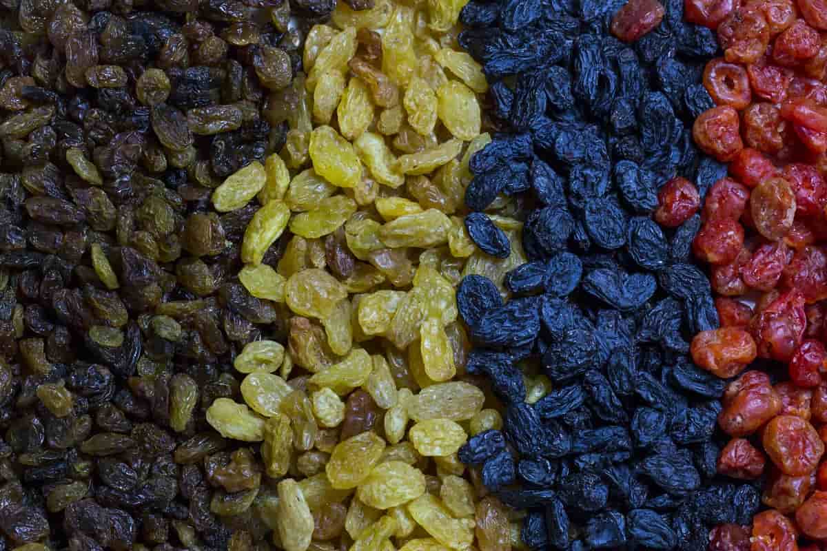 Are black raisins and munakka same