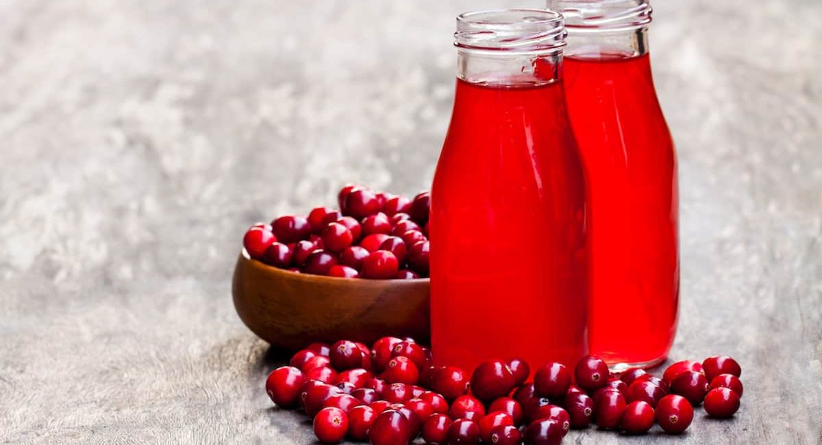 Cranberry Fruit Concentrate Liquid