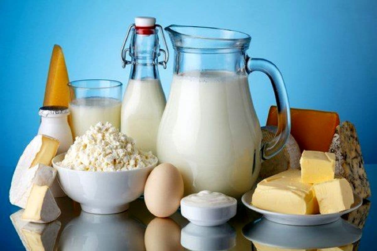 Sangam dairy products