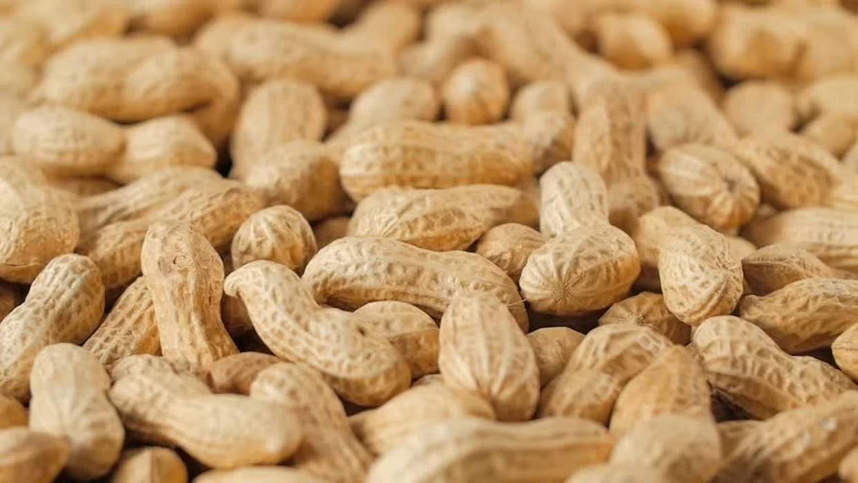 Peanuts in shell bulk
