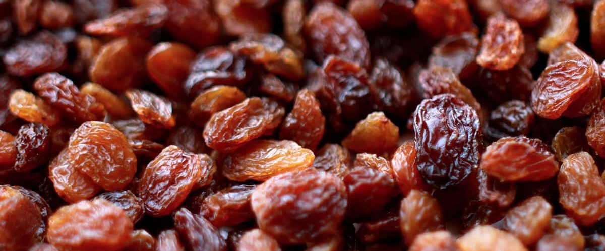 raisin paste price suppliers