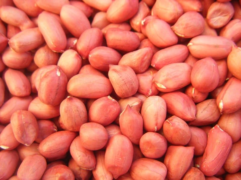 raw peanuts wholesale price