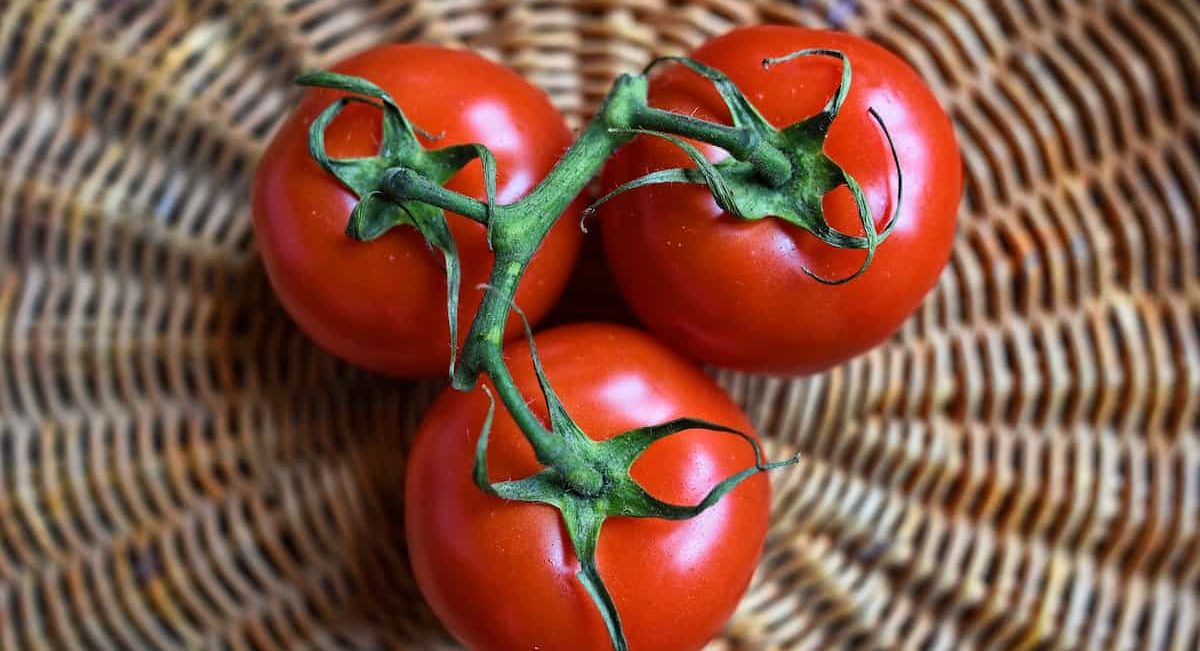 Lycopene in raw tomatoes