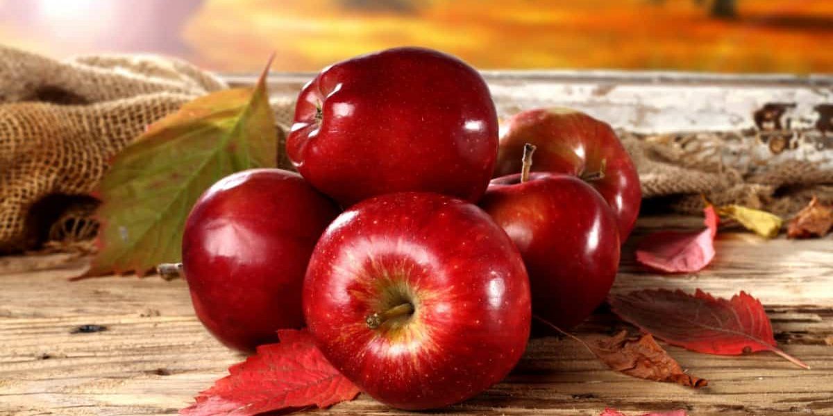 Red apple fruit export