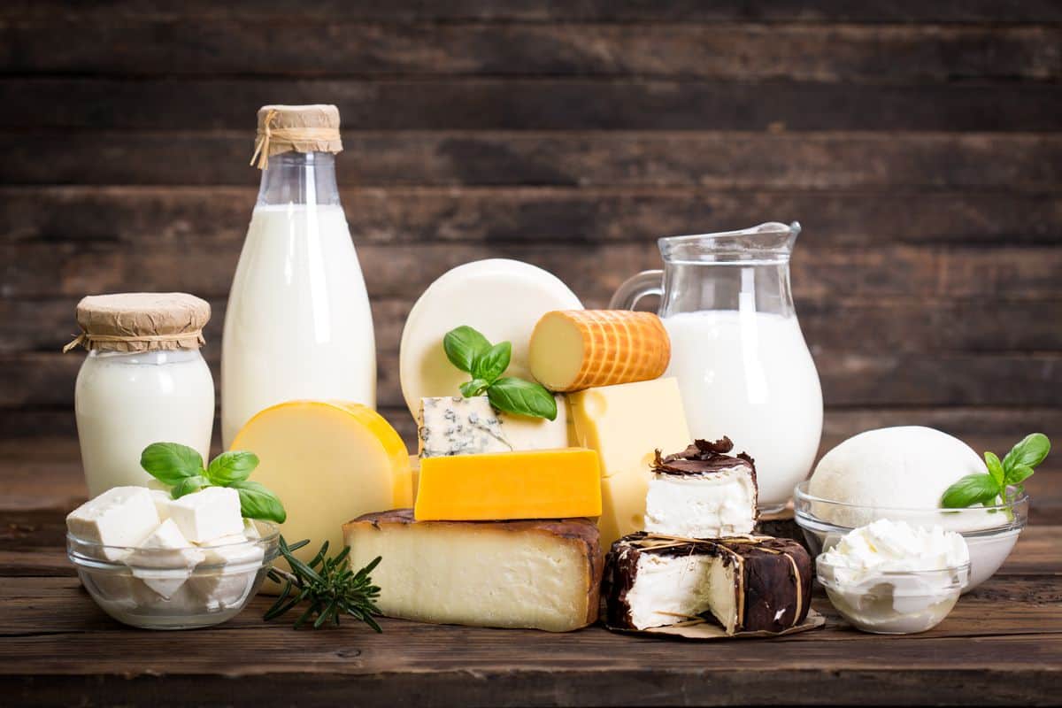 Vijaya dairy products list