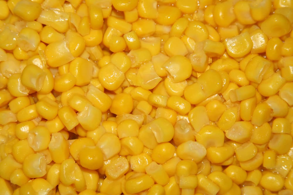 what is the best canned corn