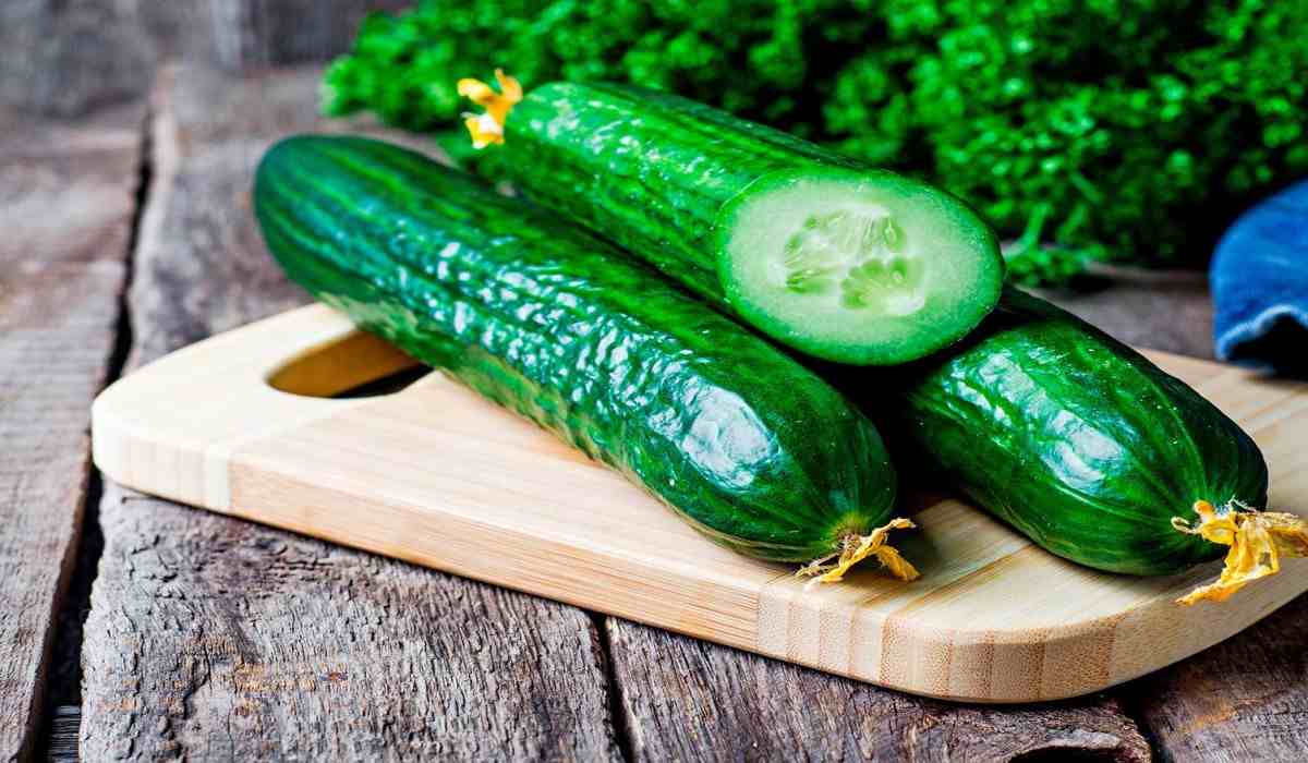Regular cucumber Nutrition