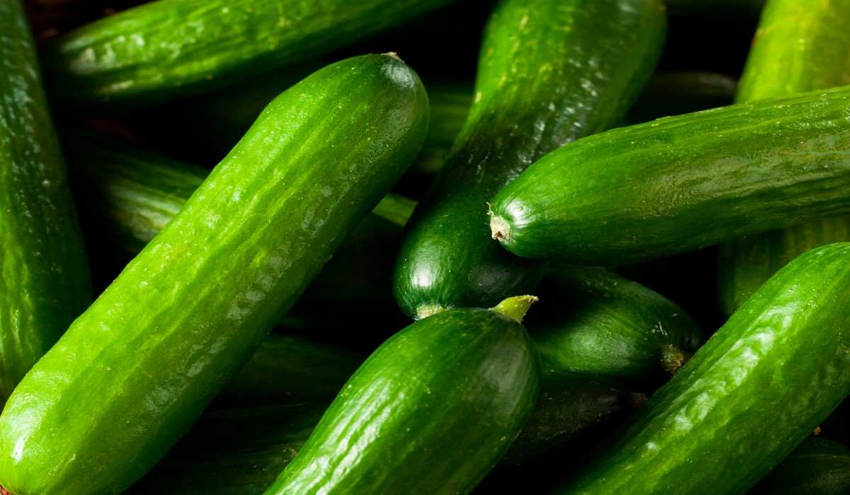 Persian Cucumber nutrition