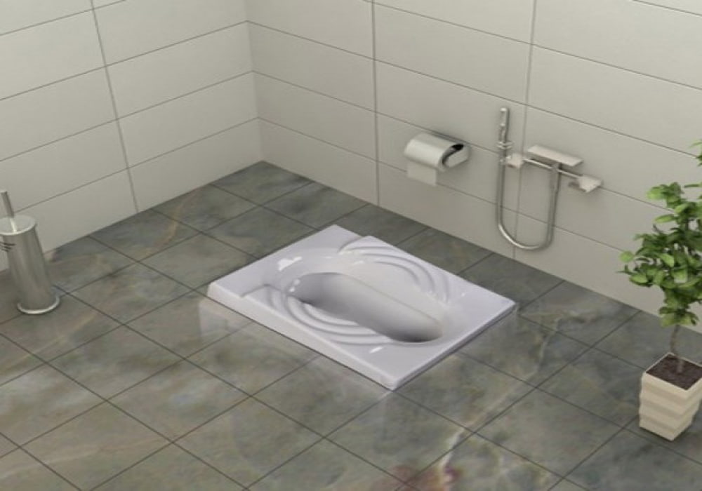 Squat toilet flushing system