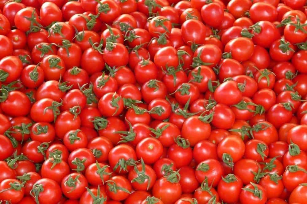 the tomato stall