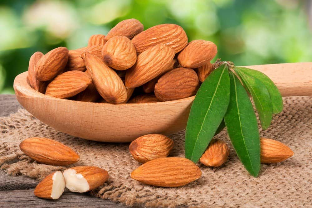Skin-free almond wholesale price