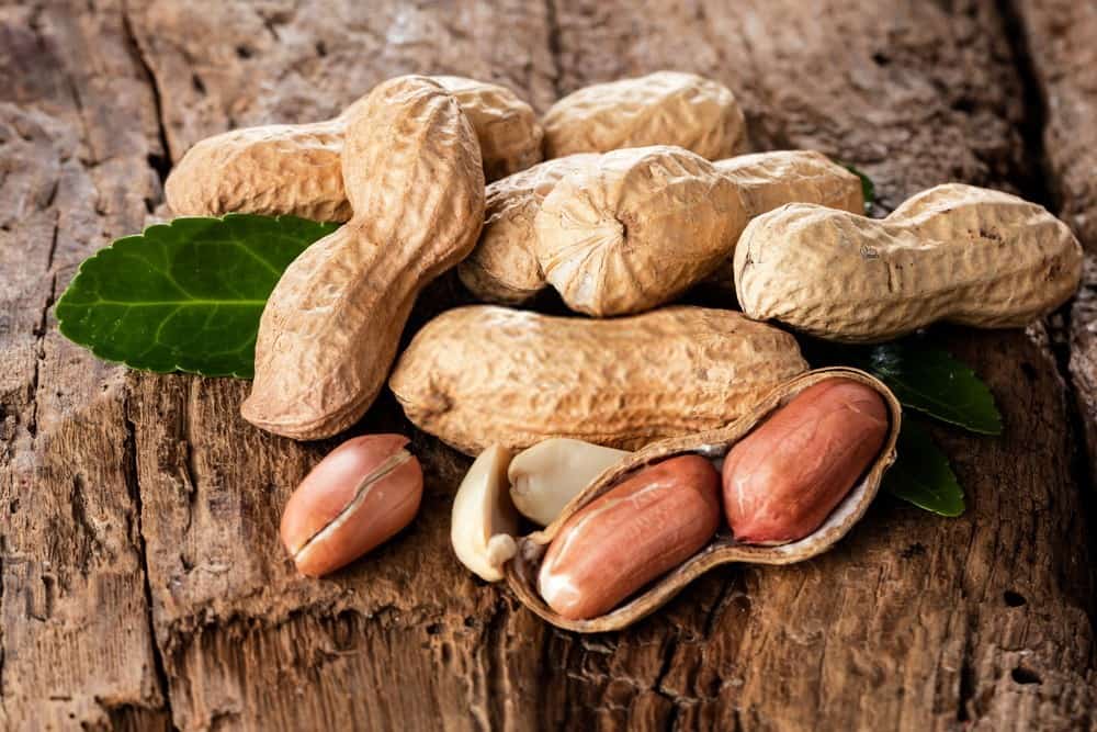 are peanut shells edible for dogs