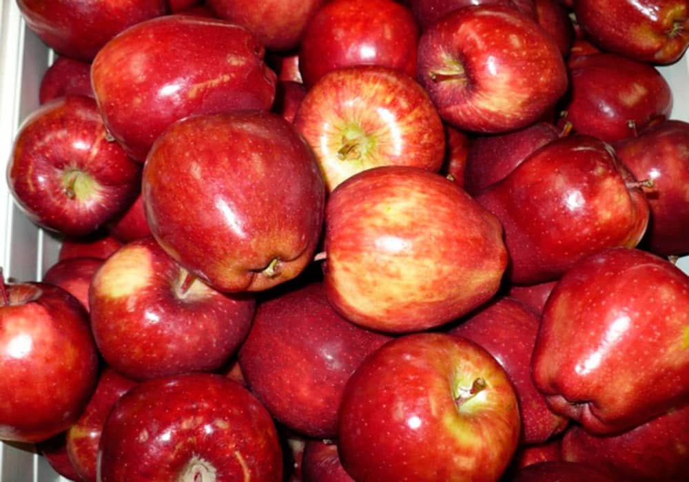 Pacific rose apples where to buy