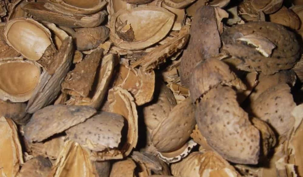 Almond shell uses