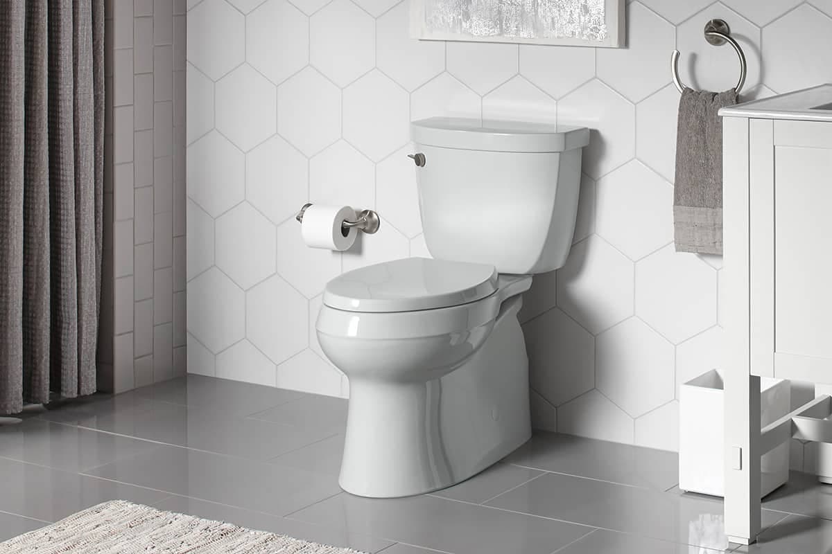 ceramic toilet seat