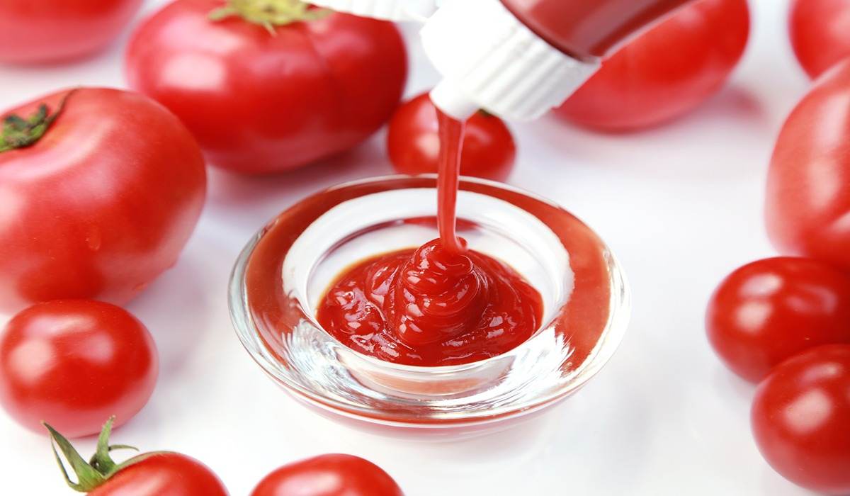 ketchup tomato industry