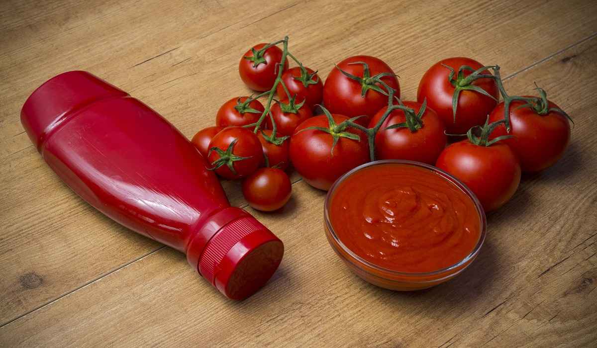 tomato paste industry