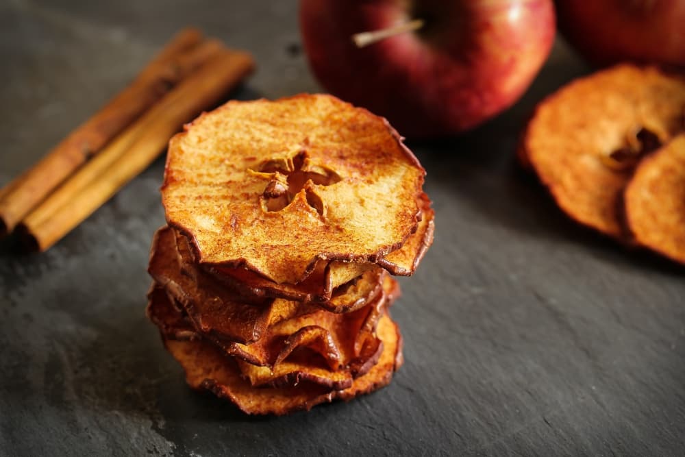 dried apple chips business