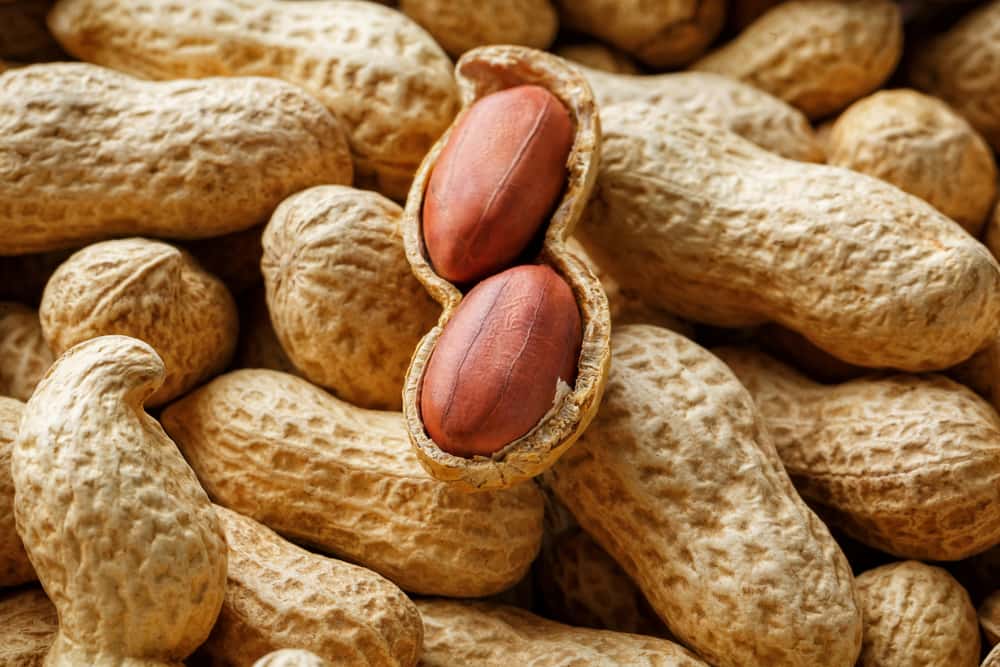 Red skin peanuts benefits