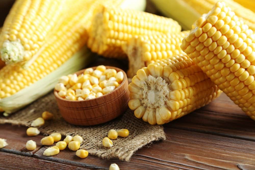 canned corn healthy