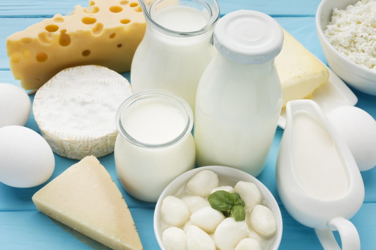 Gayatri dairy products pvt. ltd