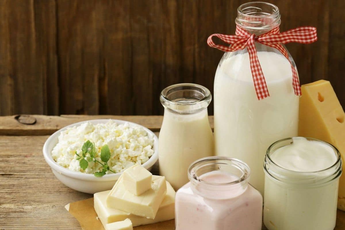 Gst on dairy products