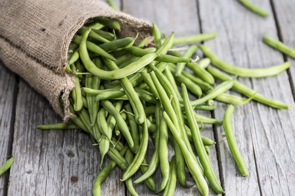 ottolenghi green beans