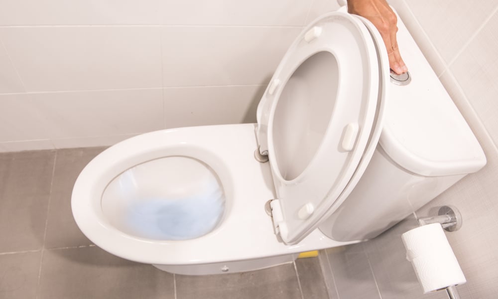 commercial power flush toilet