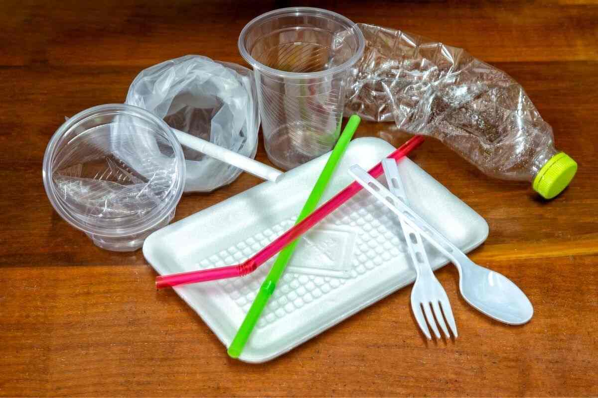 affordable Plastic disposable food containers with lids - Arad Branding