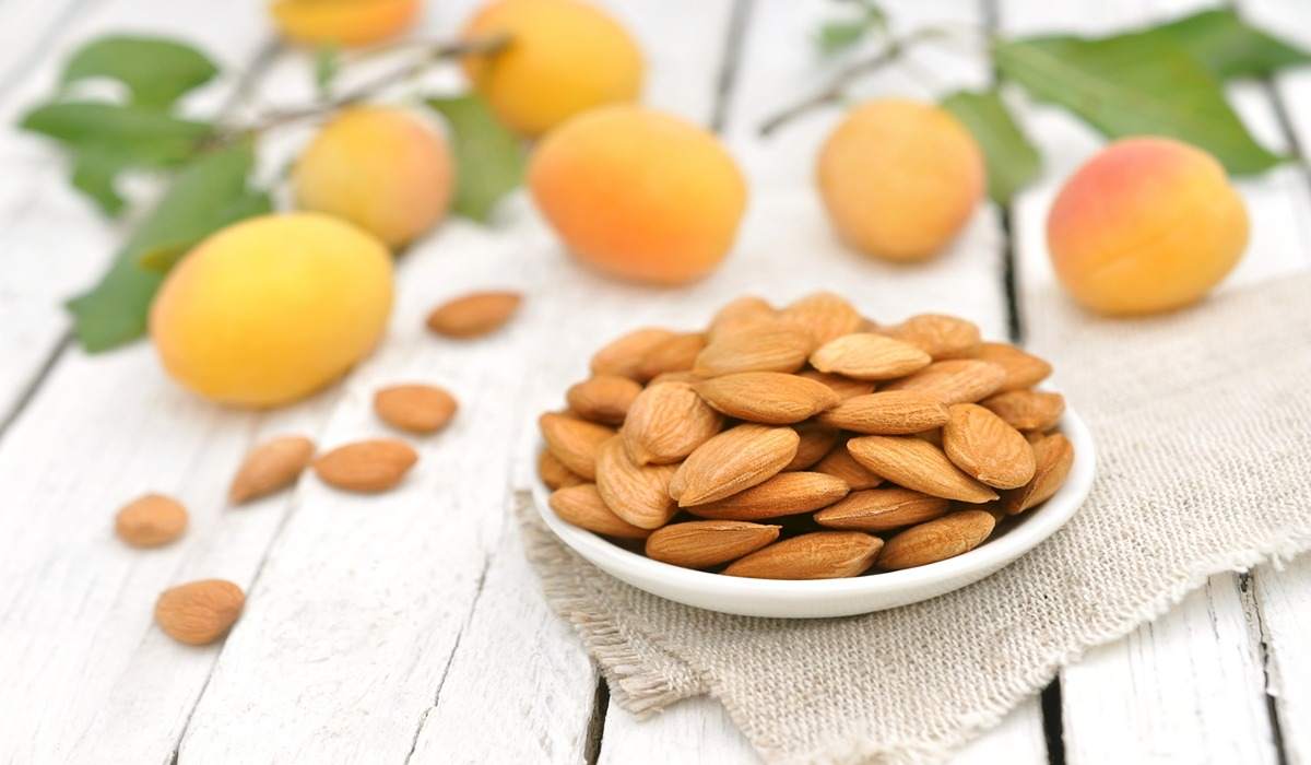dried apricot kernels benefits