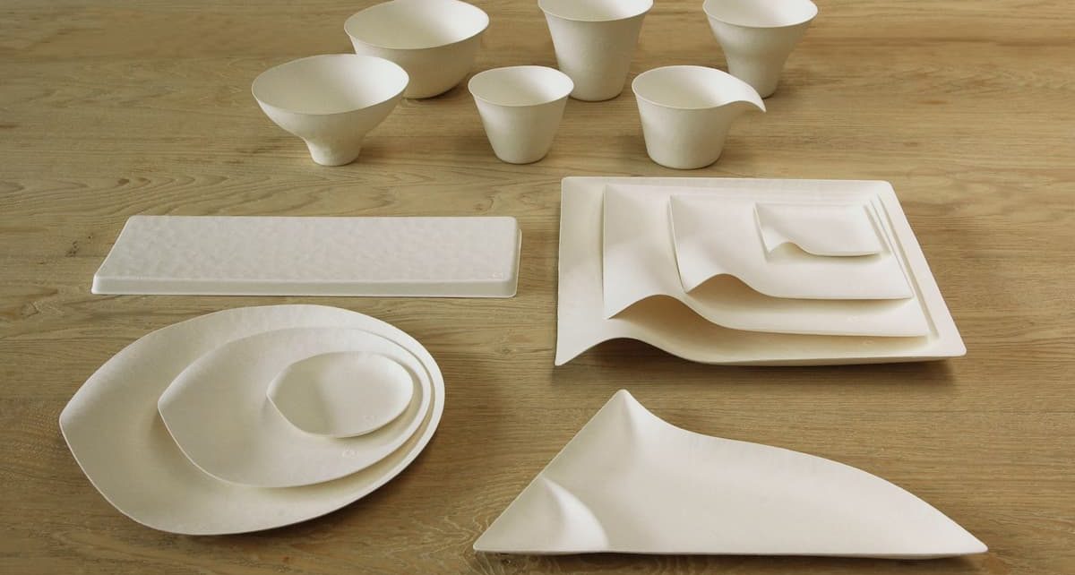 disposable paper plate manufacturing