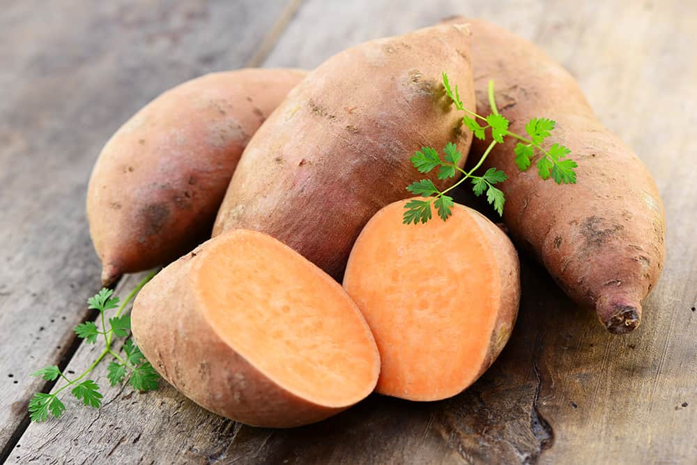 3 ingredient sweet potato dog treats