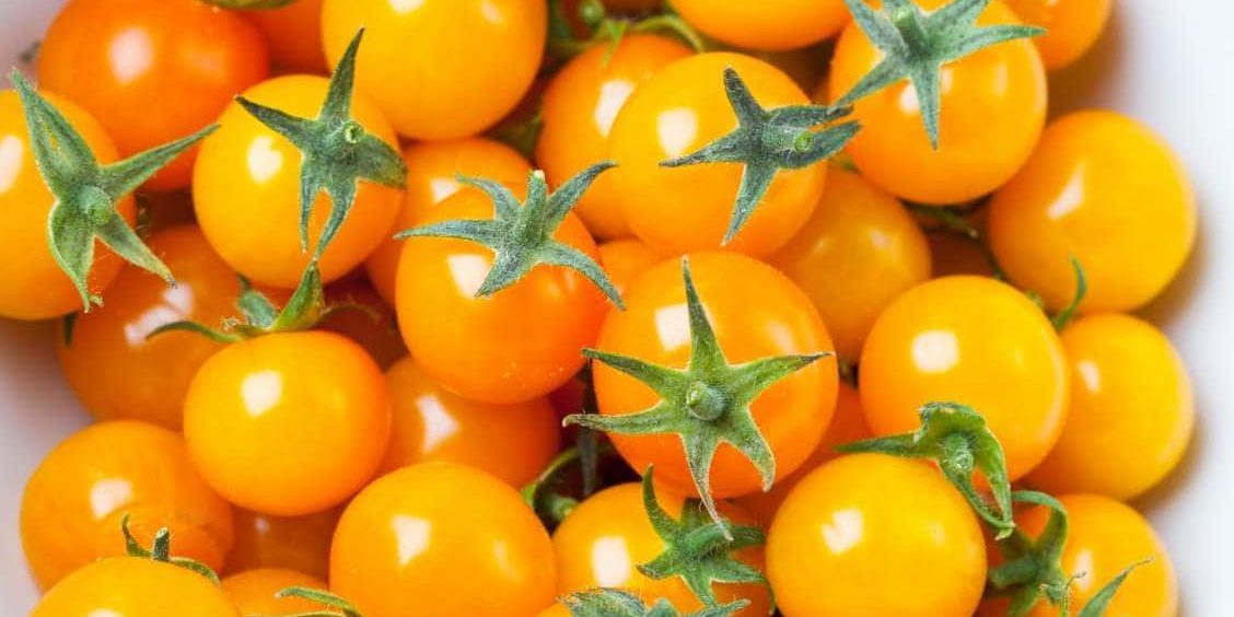 Tomato shortage 2022