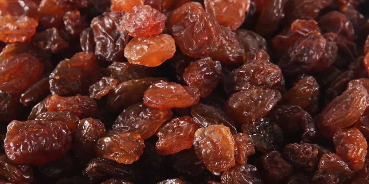 raisins company india buy
