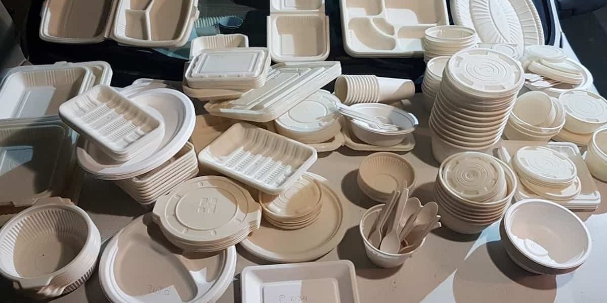 disposable plates with sections